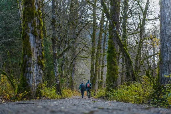 Kanada Kolumbia Brytyjska Squamish Mężczyźni Wędrujący Lesie — Zdjęcie stockowe