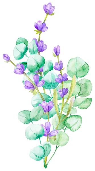 Bouquet Green Eucalyptus Leaves Lilac Lavender Watercolor Illustration Hand Drawn — Zdjęcie stockowe