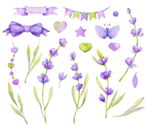 Large Set Lavender Flowers Flags Bows Leaves Watercolor Illustration Isolated — Zdjęcie stockowe