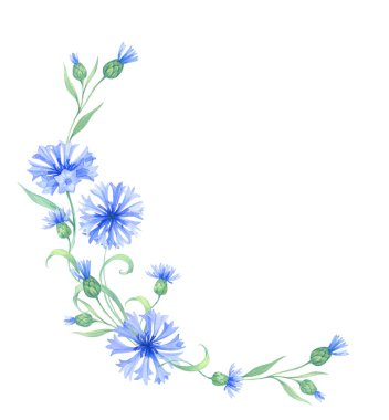 Mavi çiçekli yuvarlak çerçeve, bir çelenk çelenk ve yapraklar. Yaz bitkileriyle suluboya resimleme, çayır çiçekleri