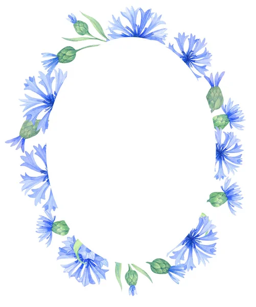 Okrągły Rama Błękitny Chabrowy Kwiat Wieniec Letni Polny Trawa Liść — Zdjęcie stockowe