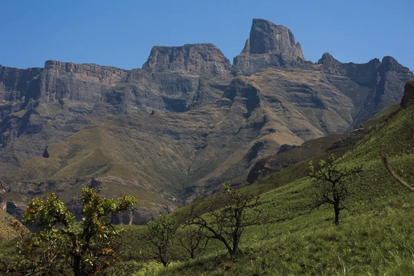 Ampitheatre Mountian Nel Royal Natal National Park Con Cielo Blu — Foto Stock