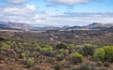 Bulutlu bir gökyüzü ile Kamiesburg dağlarından geçen toprak bir yol manzarası.