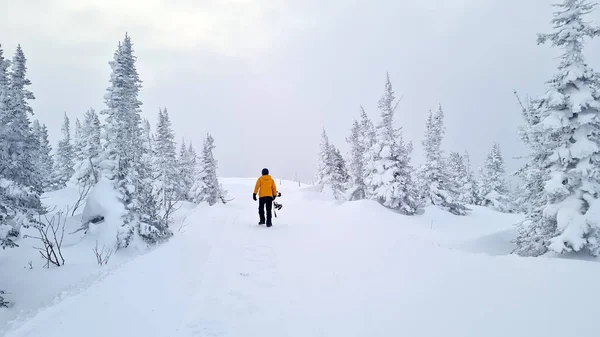 Visão traseira do desportista segurando snowboard enquanto caminhava na neve branca. Fotografia De Stock