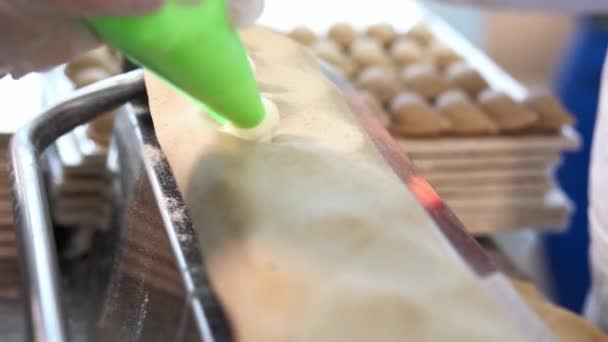 饺子的制作过程。把填充物放好，在专用设备的帮助下做饺子 — 图库视频影像