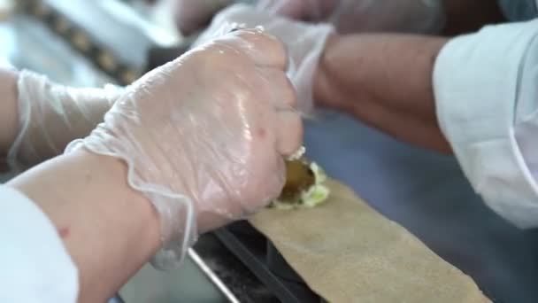 Manufacture of semi-finished products. Dumplings on the assembly line. Ravioli factory. — Stock Video