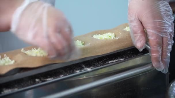 Fabrication de demi-produits. Dumplings sur la chaîne de montage. Usine de raviolis. — Video