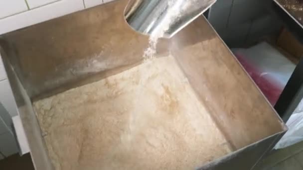 Świeża mąka wypada z koryta do przenośnika znajdującego się poniżej w młynie mąki.. — Wideo stockowe