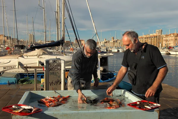 France, Marseille -November 19, 2015.:Selling fish at the fish m — Stock Photo, Image