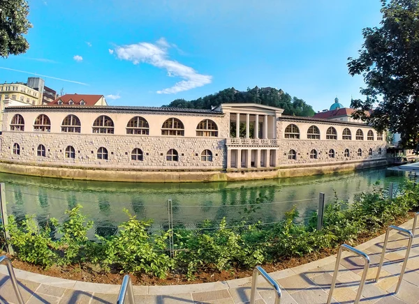 Ljubljana, Slovenya - Ljubljanica Nehri'nin ve merkezi pazar. Uygula — Stok fotoğraf