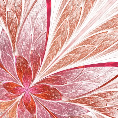 Güzel fraktal çiçek ya da vitray pencere şeklinde kelebek. Davetiyeler, defter kapakları, telefon kılıfı, kartpostallar, duvar kağıtları gibi şeyler için kullanabilirsiniz..