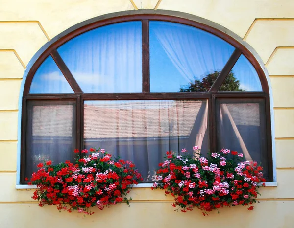 Décoration de fenêtre avec des fleurs — Photo