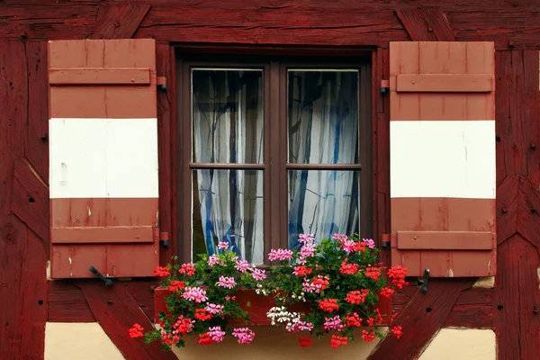 Window decorated with flower in Nuremberg — Stock Photo, Image