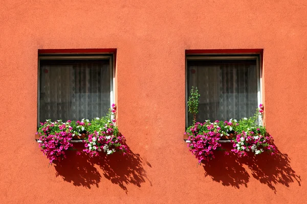 Decoração de janela com flores — Fotografia de Stock