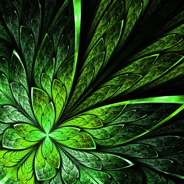緑の美しいフラクタル花。コンピューター生成グラフィック. — ストック写真