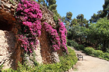 Park guell tarafından antoni gaudi, Barselona, İspanya