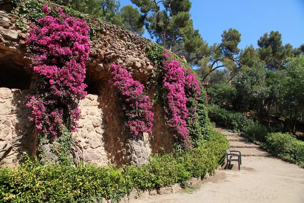 Park Guell by Antoni Gaudi, Barcelona, Spain — Stock Photo, Image