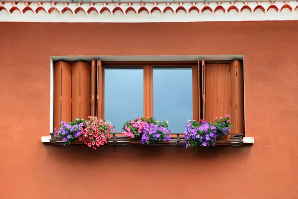 Boîte de fenêtre arrangement de fleurs — Photo