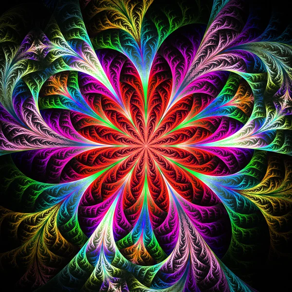 Beautiful multicolored fractal flower. Collection - frosty patte — Stock Photo, Image