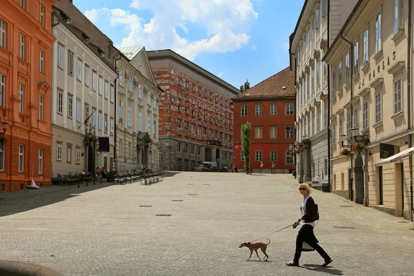 LJUBLJANA, SLOVENIA - CIRCA JULY 2014: Street in the old city ce — Stock Photo, Image