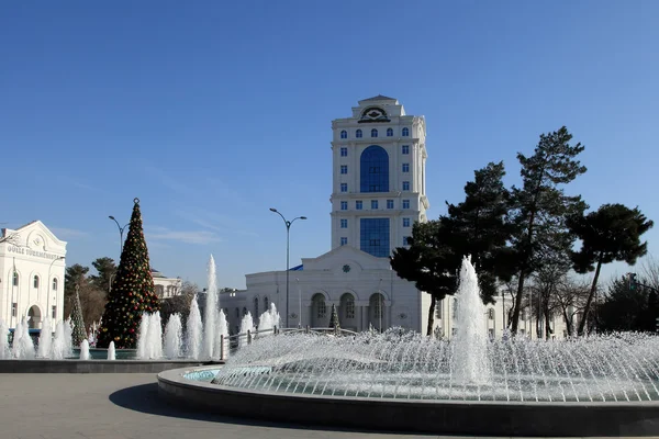 Boże Narodzenie drzewo w parku, Aszchabadzie, stolicy Turkmenistanu. — Zdjęcie stockowe