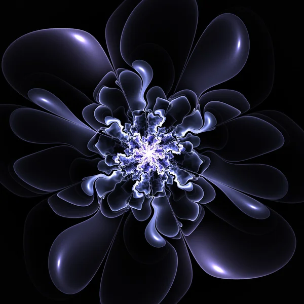 Beautiful contour flower on black background. Computer generated — Stock Photo, Image