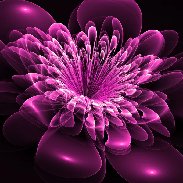 Belle fleur violette sur fond noir. Généré par ordinateur — Photo
