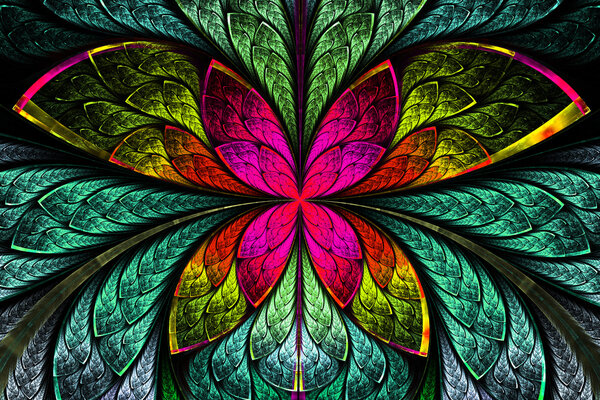 Разноцветный симметричный фрактальный узор в виде цветка или бабочки
 