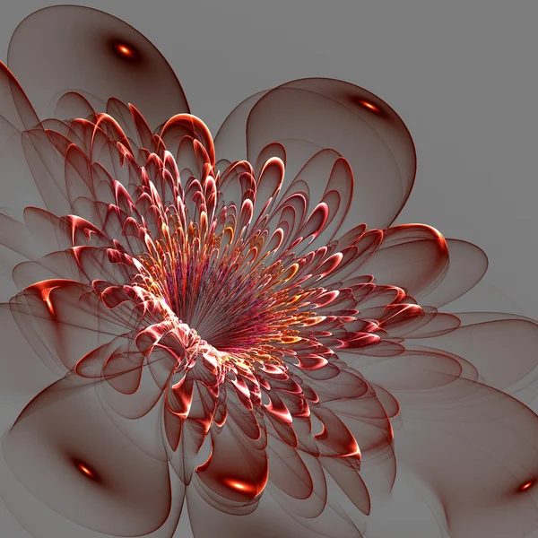 Beautiful red flower on gray background. Computer generated grap — Stock Photo, Image