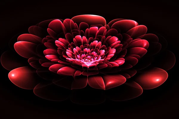 Fractal flower in red. Computer generated graphics. — Stock Photo, Image