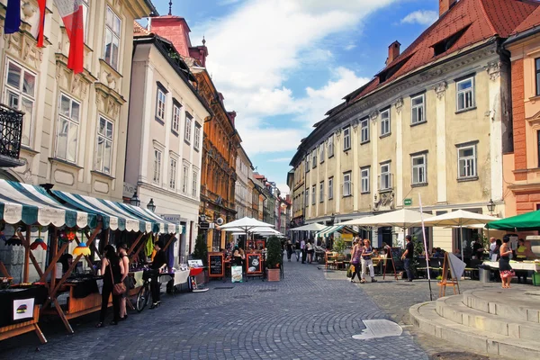 LJUBLJANA, ESLOVENIA - 28 DE JUNIO DE 2014: Calle en el centro de la ciudad vieja — Foto de Stock