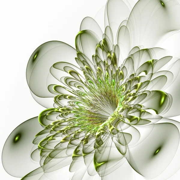 Beautiful green flower on white background. Computer generated g — Stock Photo, Image