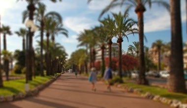 Arka plan. Palmiye ağaçlarının Croisette Cannes şehir.