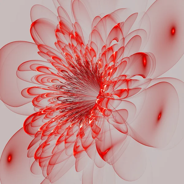 Beautiful red flower on gray background. Computer generated grap — Stock Photo, Image