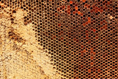 gele mooie honingraat met honing, achtergrond