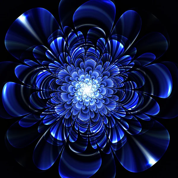 Beautiful blue flower on black background. Computer generated gr — Stock Photo, Image