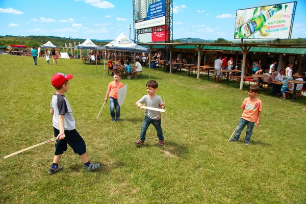 Vatra, Moldova. June 28, 2015. Medieval Festival. Spectators are — Stock Photo, Image