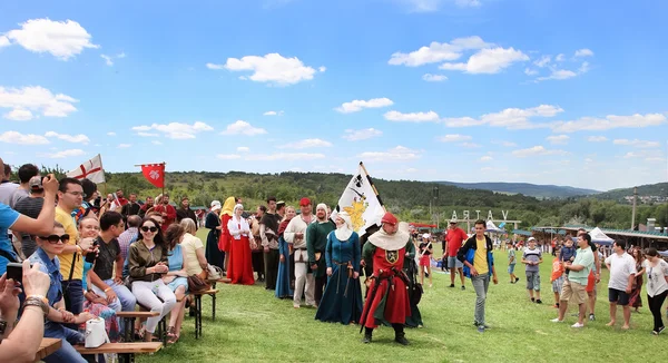 Vatra, Moldova. June 28, 2015. Medieval Festival. Historic clubs — Stock Photo, Image