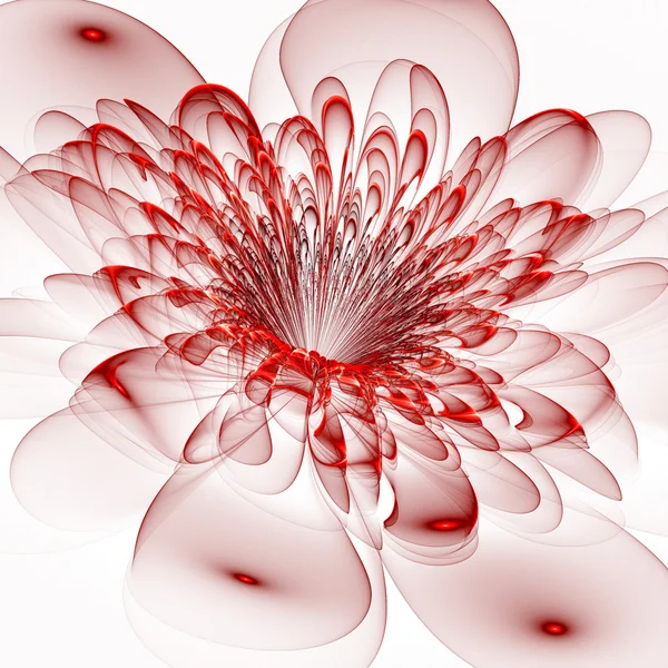 Beautiful red flower on white background. Computer generated gra — Stock Photo, Image