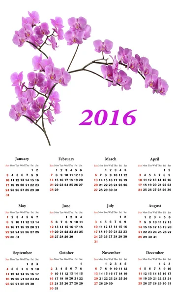 Pink orchids on white background 2016 calendar — Stock Photo, Image