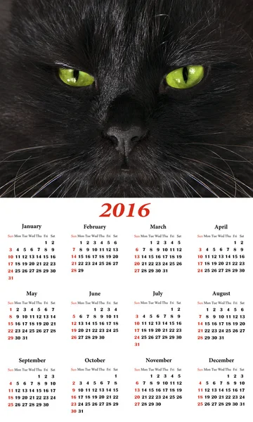 Calendrier 2016. Chat noir . — Photo