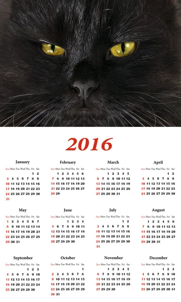 Calendário 2016. Gato preto . — Fotografia de Stock