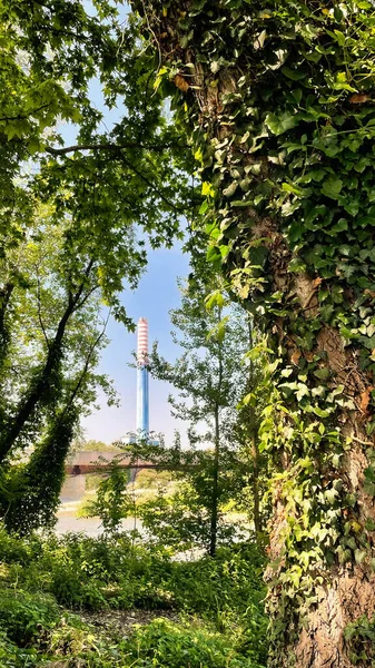 Eine Baum Und Industrielandschaft — Stockfoto