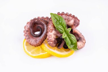 Çiğ ahtapotu kapayın. Beyaz arka planda beyaz bir tabak. Taze deniz ürünleri, beyaz arka planda ahtapot dokunaçları. Deniz ürünleri. Lezzetli deniz yemekleri..