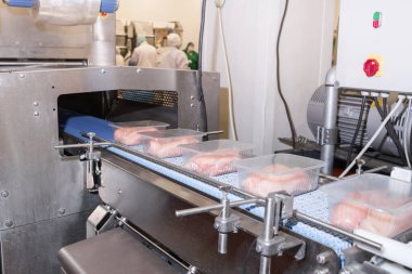 Taşıma bandı gıdası. Etten yiyecek üretimi için fabrika. Paketleme ile üretim hattı. Konveyör üzerinde plastik paketlenmiş et ürünleri tavuğu..