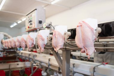 Endüstriyel taşıma bandında çiğ et kesintileri. Gıda endüstrisinde et işleme. Taşıma bandı Gıda. Modern gıda fabrikasında üretim hattı..