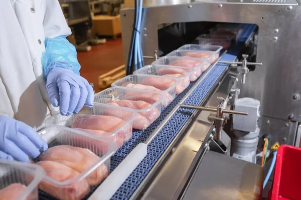 Taşıma bandı gıdası. Etten yiyecek üretimi için fabrika. Paketleme ile üretim hattı. Konveyör üzerinde plastik paketlenmiş et ürünleri tavuğu..