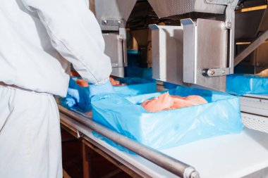 Yiyecek ürünleri konveyörde plastik ambalajlı tavuk eti. Tavuk fileto üretim hattı. Paketleme ve kesme ile et üretimi için sıra. Et işleme tesisi.