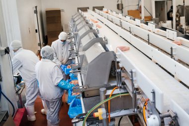 Tavuk fileto üretim hattı. Et üretim fabrikası. Bir et fabrikasında endüstriyel ekipman. Et işleme tesisi. Et işleme ekipmanları.