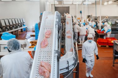 Et işleme tesisi. İnsanlar tavuk fabrikasında çalışıyor. Modern gıda fabrikasında üretim hattı. Yarı bitmiş et üretimi için sıra. Bir et fabrikasında endüstriyel ekipman..